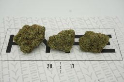 marathon OG