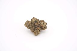 may25_bacio