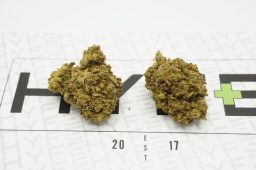 OG B