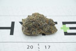 pink certz