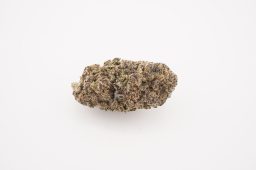 purple certz