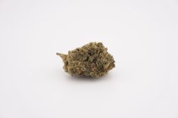 sept26_blueberry drip_4a