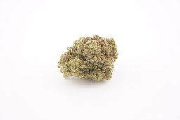 sept26_candy shop_4a