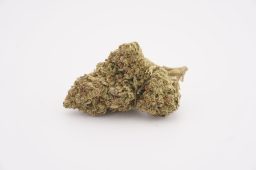 sept26_lemon skittles_4a