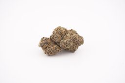 sept26_white gumbo_4a