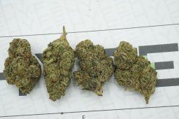 smurf 3a