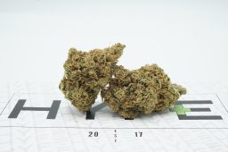 super silver haze