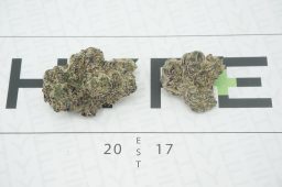white runtz