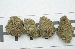 zkittlez 3a