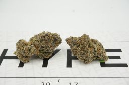 zprite